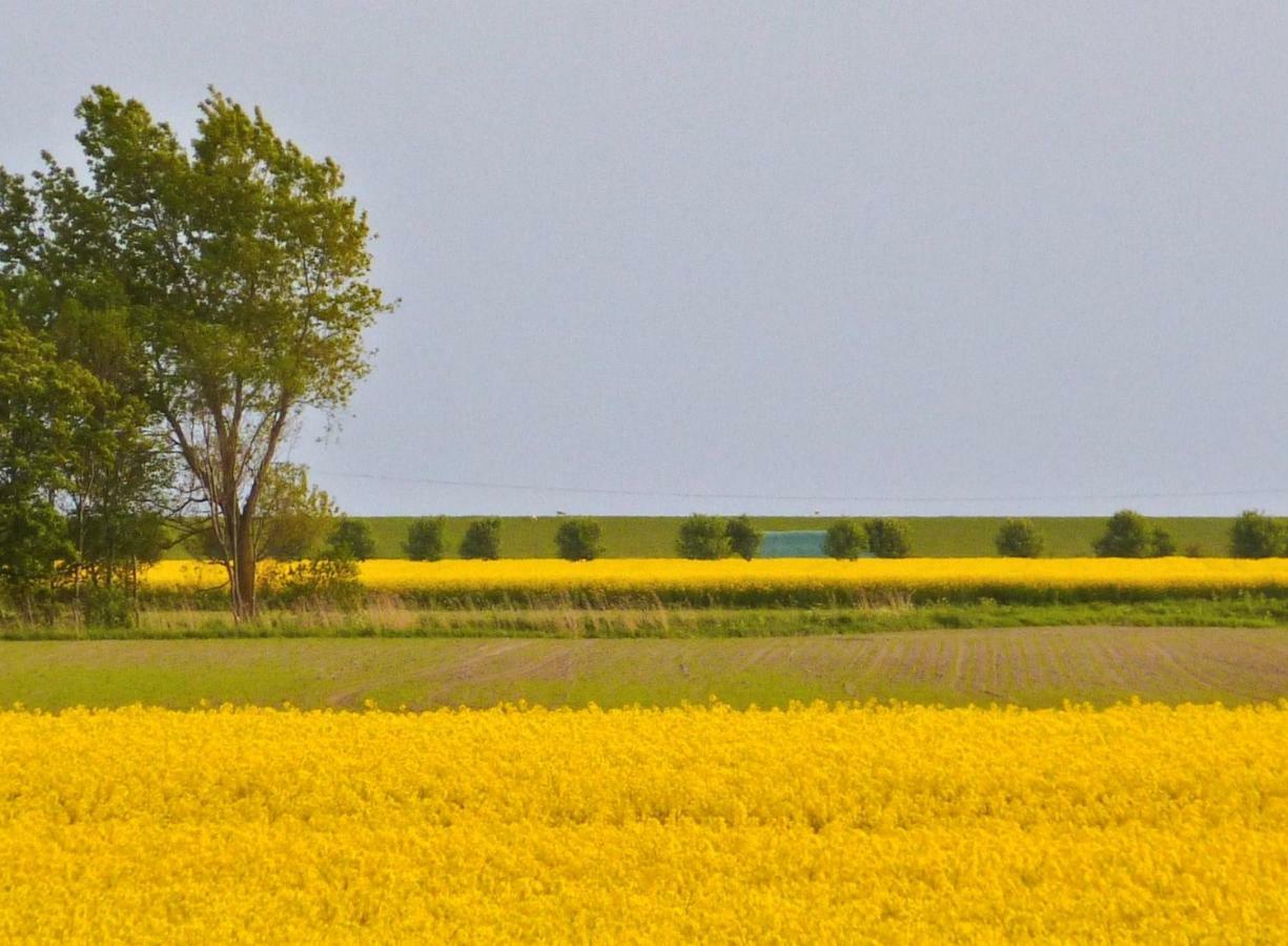 Wattenblick Бюзум Экстерьер фото